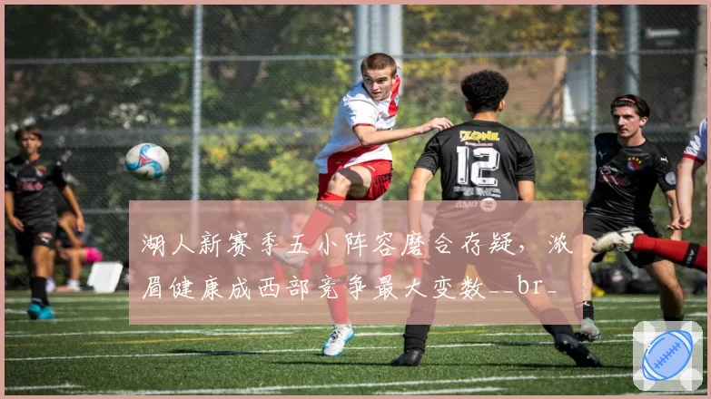 湖人新赛季五小阵容磨合存疑,浓眉健康成西部竞争最大变数__br_