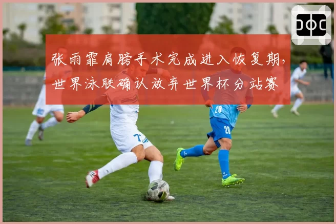 张雨霏肩膀手术完成进入恢复期,世界泳联确认放弃世界杯分站赛